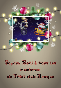 Cartes de vœux de Noël_1545062759952